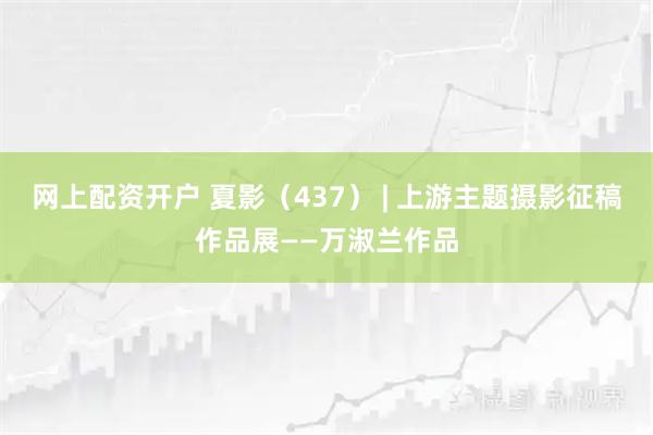 网上配资开户 夏影（437） | 上游主题摄影征稿作品展——万淑兰作品